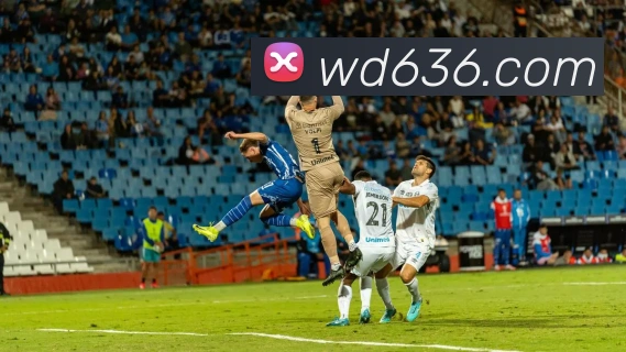 App界面